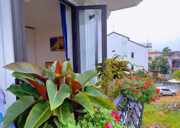 Dawn Villa Homestay Hoi An
